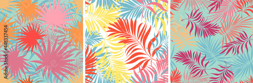 Palm leaves. Seamless pattern with leaves of tropical plants with blooming flowers. Vector floral design. Set.