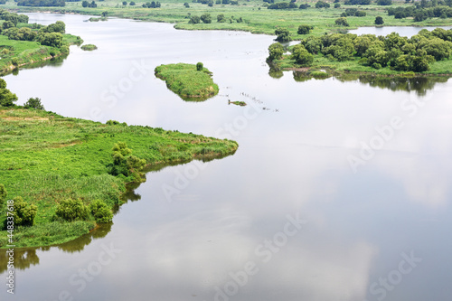 wetland landscape