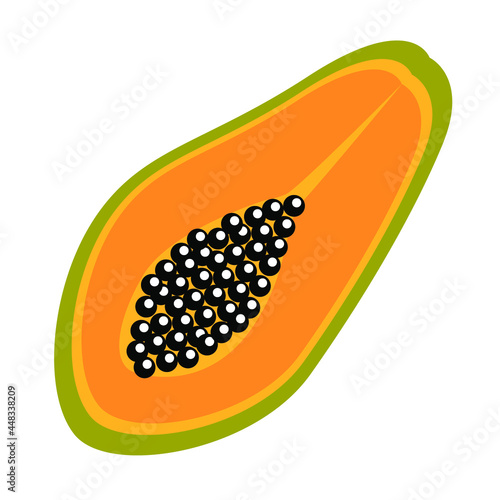 Carica papaya papaw  vector art