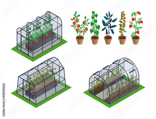 Fotografija Isometric Greenhouse Vegetables Icon Set