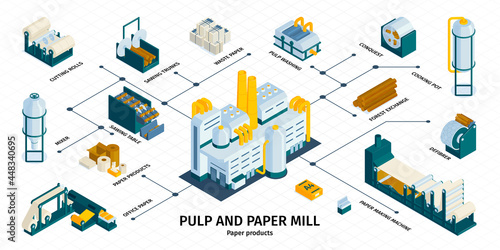Paper Mill Pulp Infographics