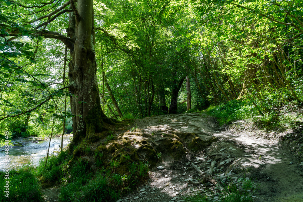 Elan Valley, Wales