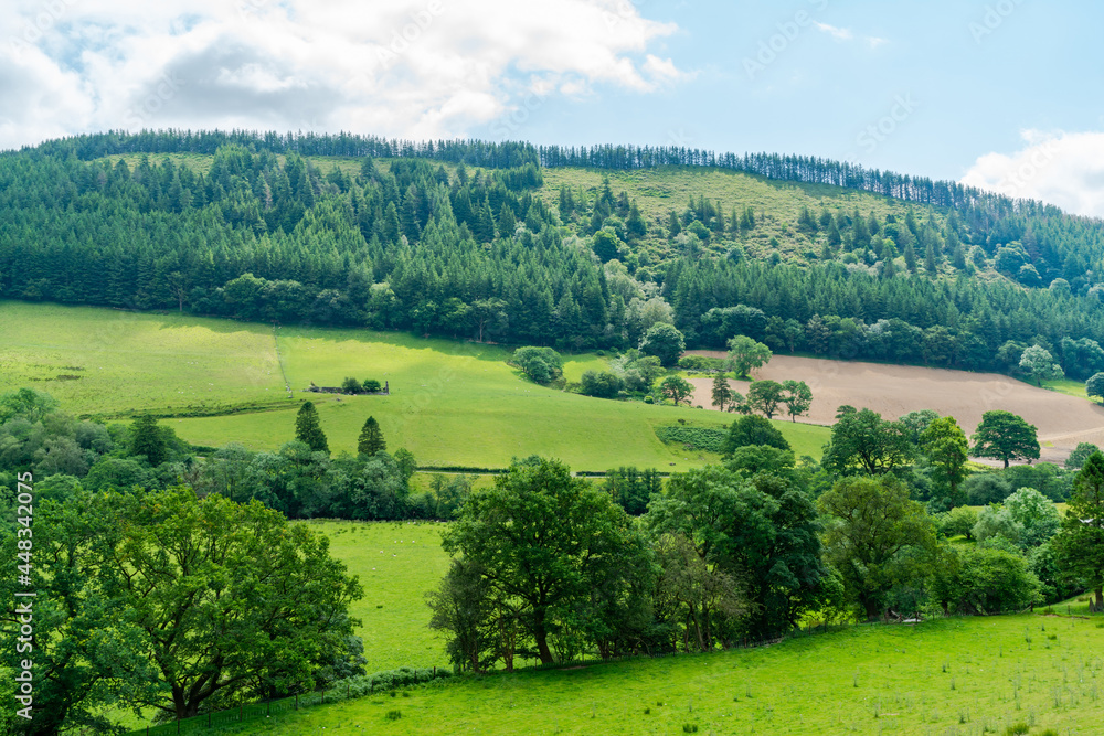 Countryside in rural Wales