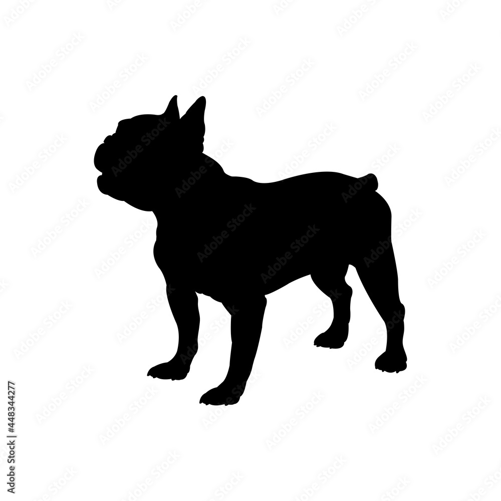 Razas de perro. Silueta de bulldog francés en color negro Stock ...