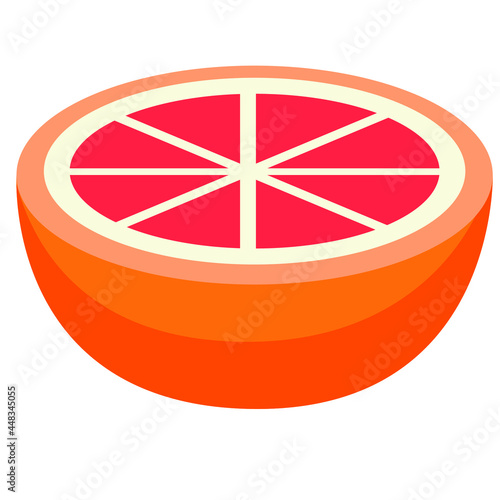 fresh natural grapefruit vector art