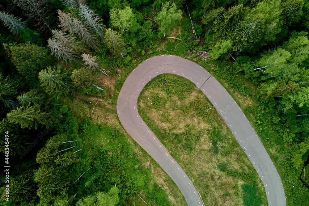Sharp turn on forest track, roller ski track in wilderness Sharp turn on forest track, roller ski track in wilderness