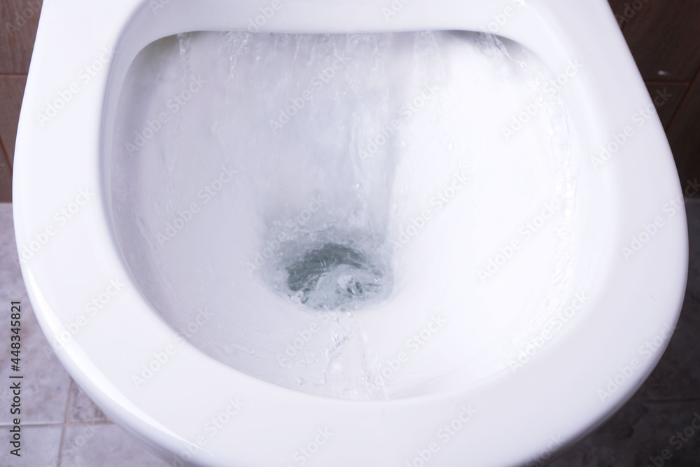 process of draining water in bowl of rimless toilet bowl process of draining water in bowl of rimless toilet bowl