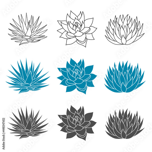 Agave blue set plant in flat style. Vector illustration isolated on white background. Agave syrup for making tequila. Mexican silhouette succulent hand drawn. Desert flower abstract sketch