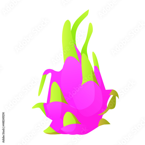 Honolulu queen Dragon Fruit vector art