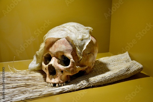 human skull on a black background
