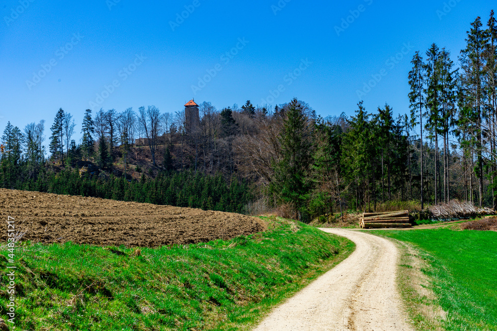 Hike to the Castle Ruins of Altnussberg in the Bavarian Forest