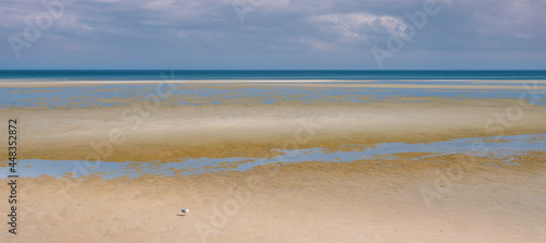Fotografia Tranquil seascape at low tide over Mayflower Beach in Dennis on Cape Cod