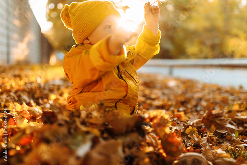 Little cute boy having fun outdoors in the park in autumn