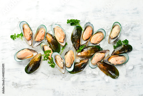 Raw green large mussels with spices on ice. The clams are ready for dinner. Free space for text.