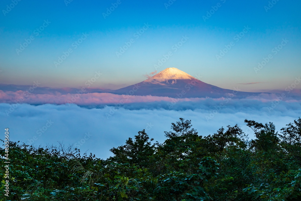 静岡県御殿場市から眺める夜明けの富士山
