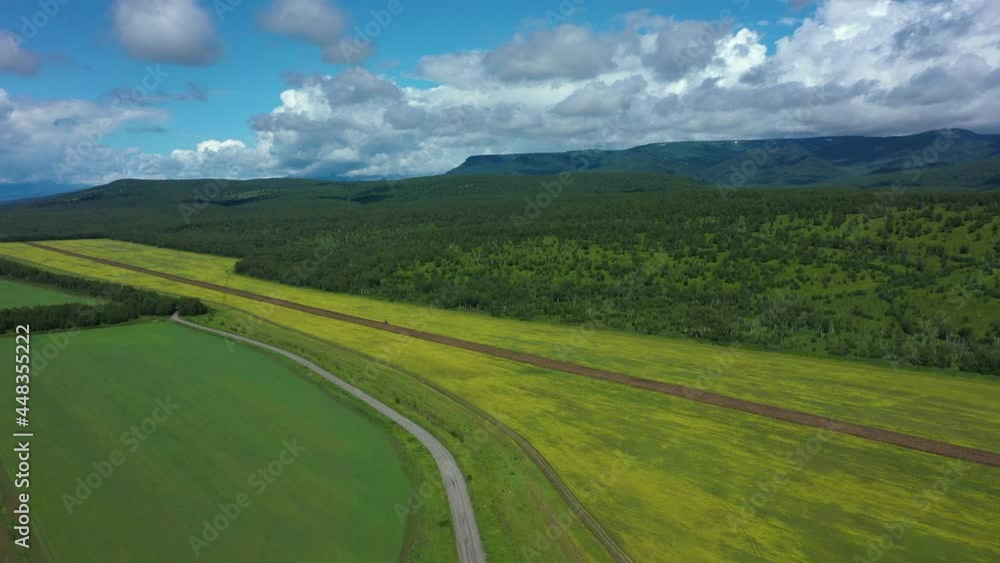 custom made wallpaper toronto digitalAerial Cinematic clip: Drone flying over a wheat field . Drone flies over green agriculture field with powerline. Beautiful summer landscape of a wheat field. Top view to the farm wheatfield. Kamchatk