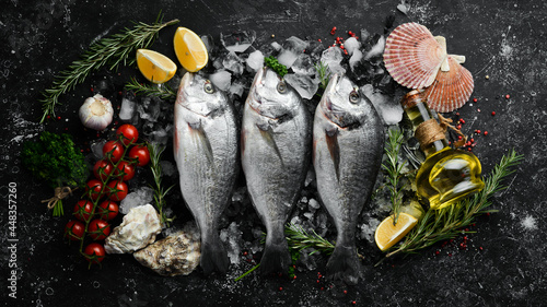 Fototapeta Naklejka Na Ścianę i Meble -  Raw dorado fish on ice. On a dark background. Top view. Flat lay.