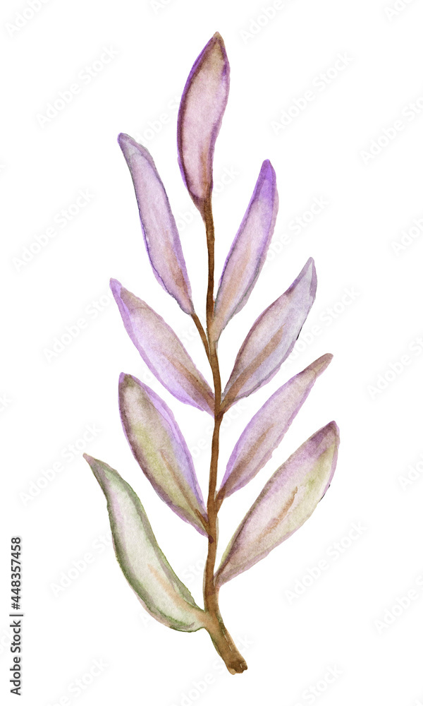 Fototapeta premium Watercolor botanical decorative illustration for wedding invitation card.Foliage blooming.Spring Green twigs and leaves watercolor set of watercolor green plants. Delicate twigs and leaves on a white