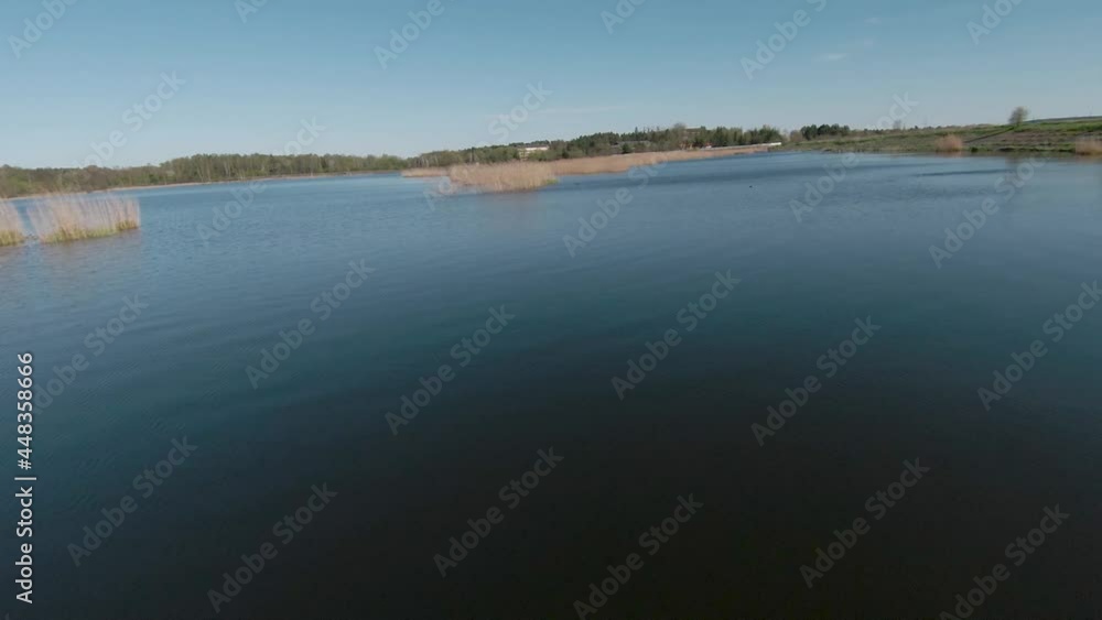 Fast and agile flight over the lake with reeds. Filmed on FPV drone