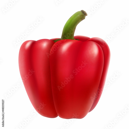 Red bell pepper, isolated on white background, sweet paprika, vegetable, healthy food, spice. Realistic 3D vector illustration.