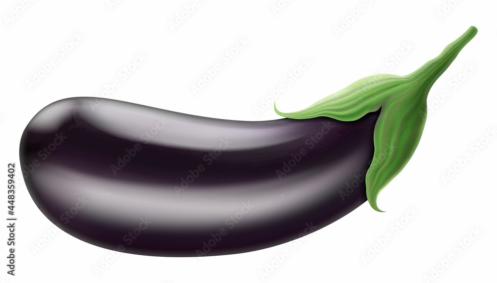 Eggplant isolated on a white background. Whole eggplant vegetable. Vector 3D illustration. Eggplant isolated on a white background. Whole eggplant vegetable. Vector 3D illustration.