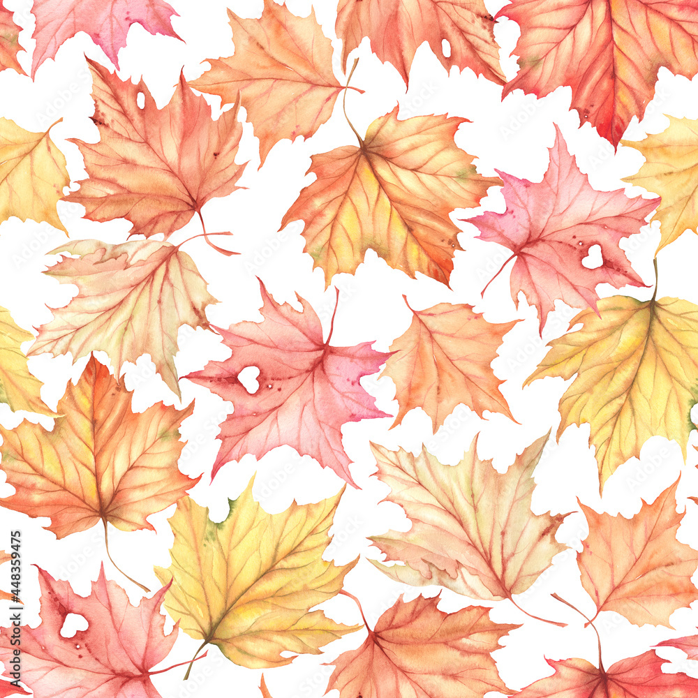 Autumn, falling maple leaves
