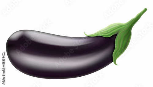 Eggplant isolated on a white background. Whole eggplant vegetable. Vector 3D illustration.