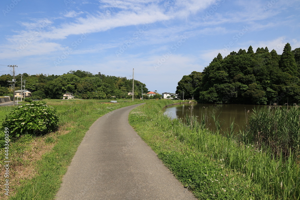 Fototapeta premium 田舎の風景