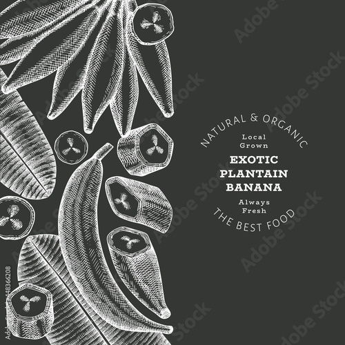 Hand drawn sketch style plantain banner. Organic fresh fruit vector illustration on chalk board. Retro exotic banana fruit design template