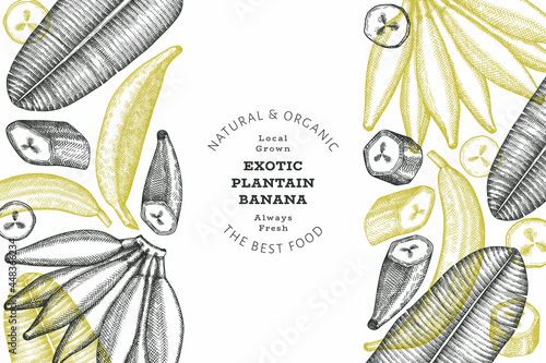 Hand drawn sketch style plantain banner. Organic fresh fruit vector illustration. Retro exotic banana fruit design template
