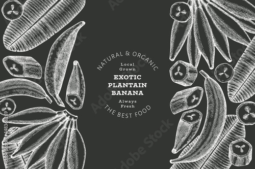 Hand drawn sketch style plantain banner. Organic fresh fruit vector illustration on chalk board. Retro exotic banana fruit design template