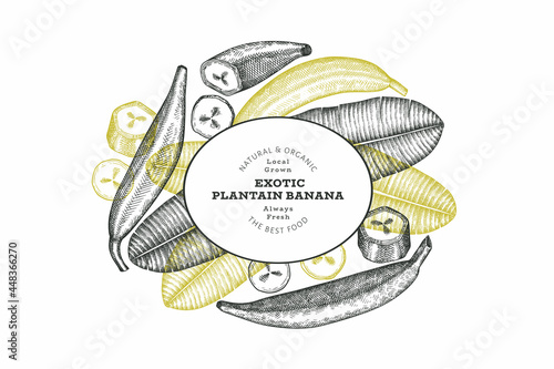 Hand drawn sketch style plantain banner. Organic fresh fruit vector illustration. Retro exotic banana fruit design template