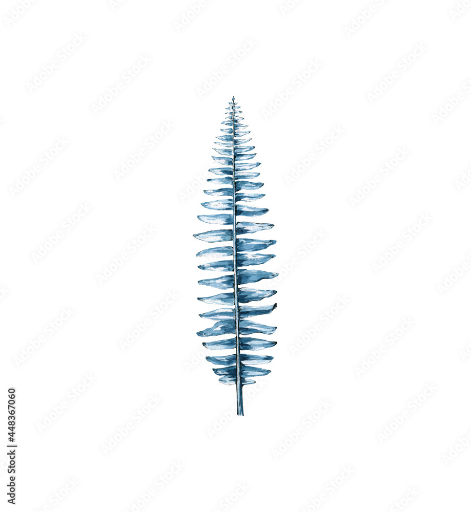 Watercolor indigo fern isolated on a white background of ferns. Wild forest. Leaves. Nature. Manual illustration Watercolor indigo fern isolated on a white background of ferns. Wild forest. Leaves. Nature. Manual illustration