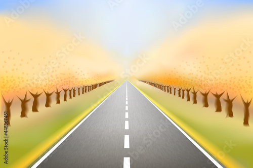 Straight road in the autumn forest.