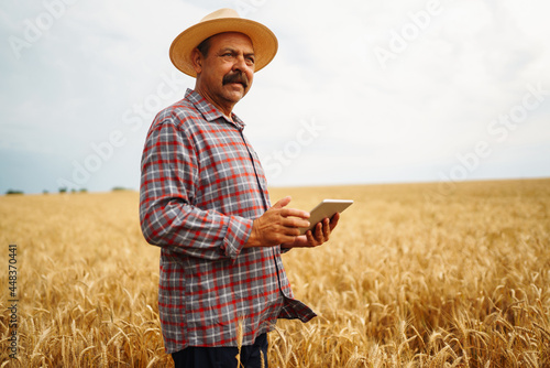 Modern agriculture technology. Smart farming concept. Farmer checking wheat field progress, holding tablet using internet.