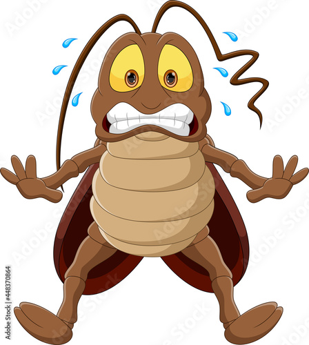 scared cockroach cartoon on white background