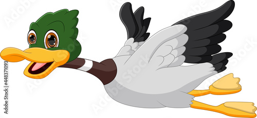 flying duck cartoon isolated on white background