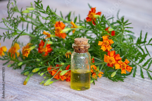 marigold oil essential oils. Selective focus