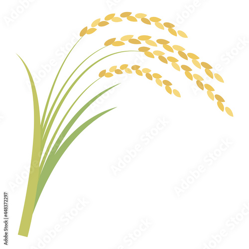 稲　稲穂　Ears of Rice Vector Illustration