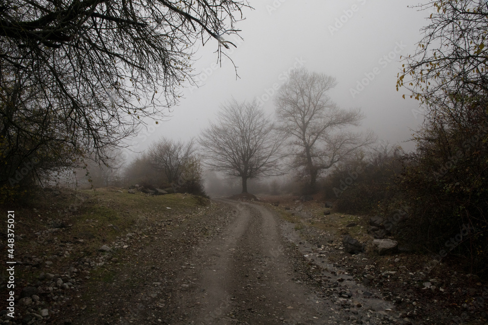 Landscape with beautiful fog in forest on hill or Trail through a mysterious winter forest with autumn leaves on the ground. Road through a winter forest. Magical atmosphere. Landscape with beautiful fog in forest on hill or Trail through a mysterious winter forest with autumn leaves on the ground. Road through a winter forest. Magical atmosphere.
