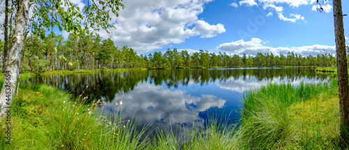 panoramic view of a lake in the swedish nature reserve dumme mosse near jönköping photo