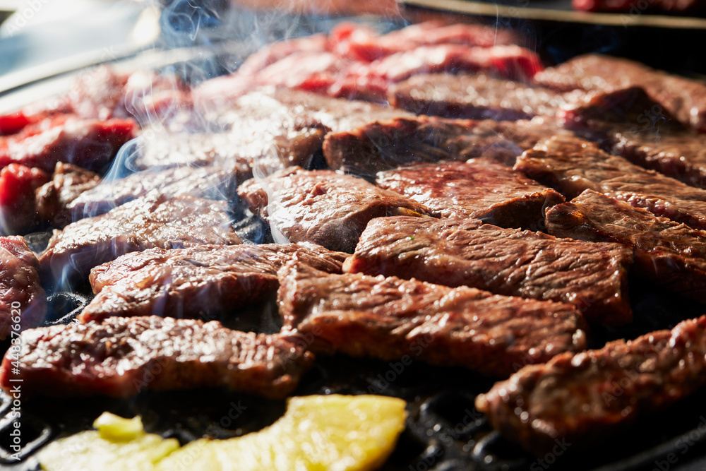 grilled meat on the grill