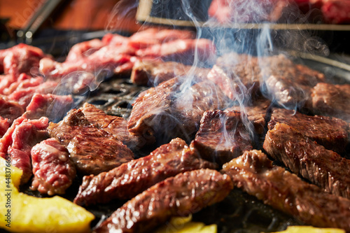 grilled meat on the grill