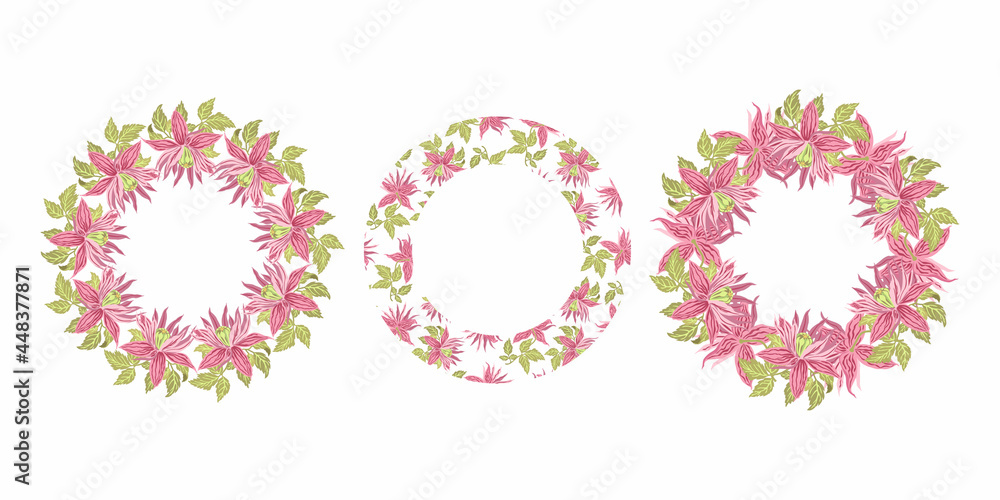 Floral frames set, vector, ornament, decorative frame, floral designs, decorative elements, circular frame, spring, flowers, buds, leaf, plants, floral decorations, wreaths, pink