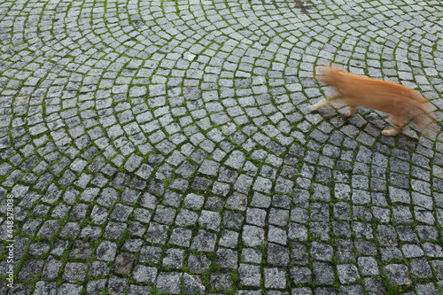Photography Granite Cobblestone Pathway Sultanahmet Istanbul