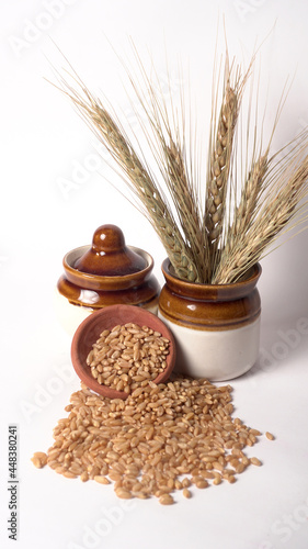 Wheat grains and spikelets on white background.