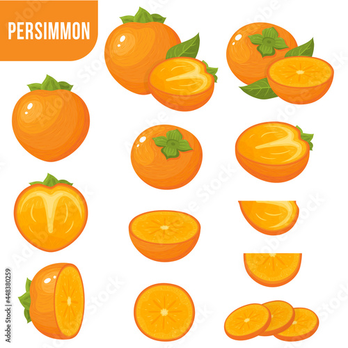 Set of fresh whole, half, cut slice persimmon fruits isolated on white background. Summer fruits for healthy lifestyle. Organic fruit. Cartoon style. Vector illustration for any design.