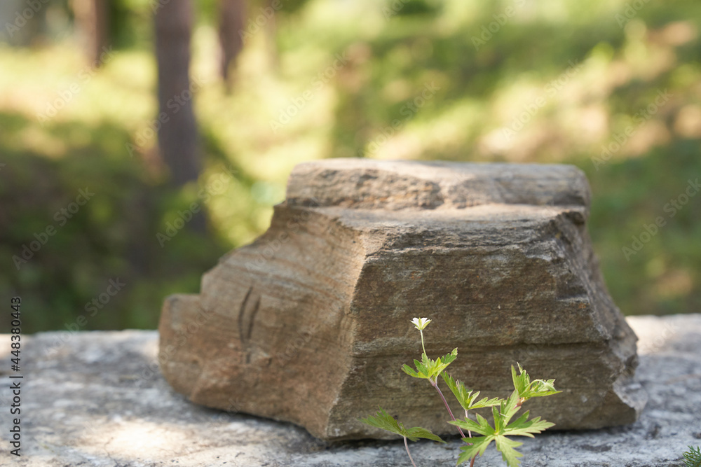 Stone on the background of green plants, the perfect podium for your product, natural background with textured pedestal. High quality photo Stone on the background of green plants, the perfect podium for your product, natural background with textured pedestal. High quality photo