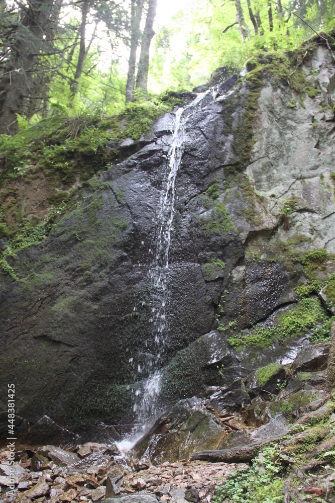 Fine cascade dans le massif des vosges