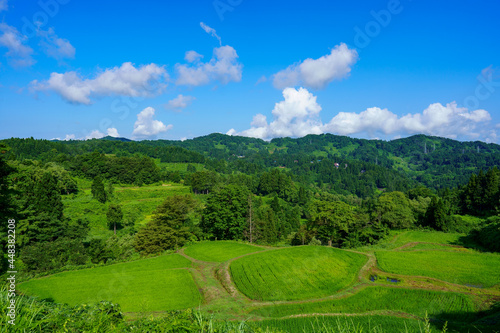 夏空と深緑が美しい儀明の棚田、真夏の田園風景。 © ZUN